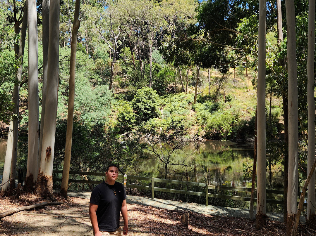 Warrawong Wildlife Sanctuary-Mylor必去景点