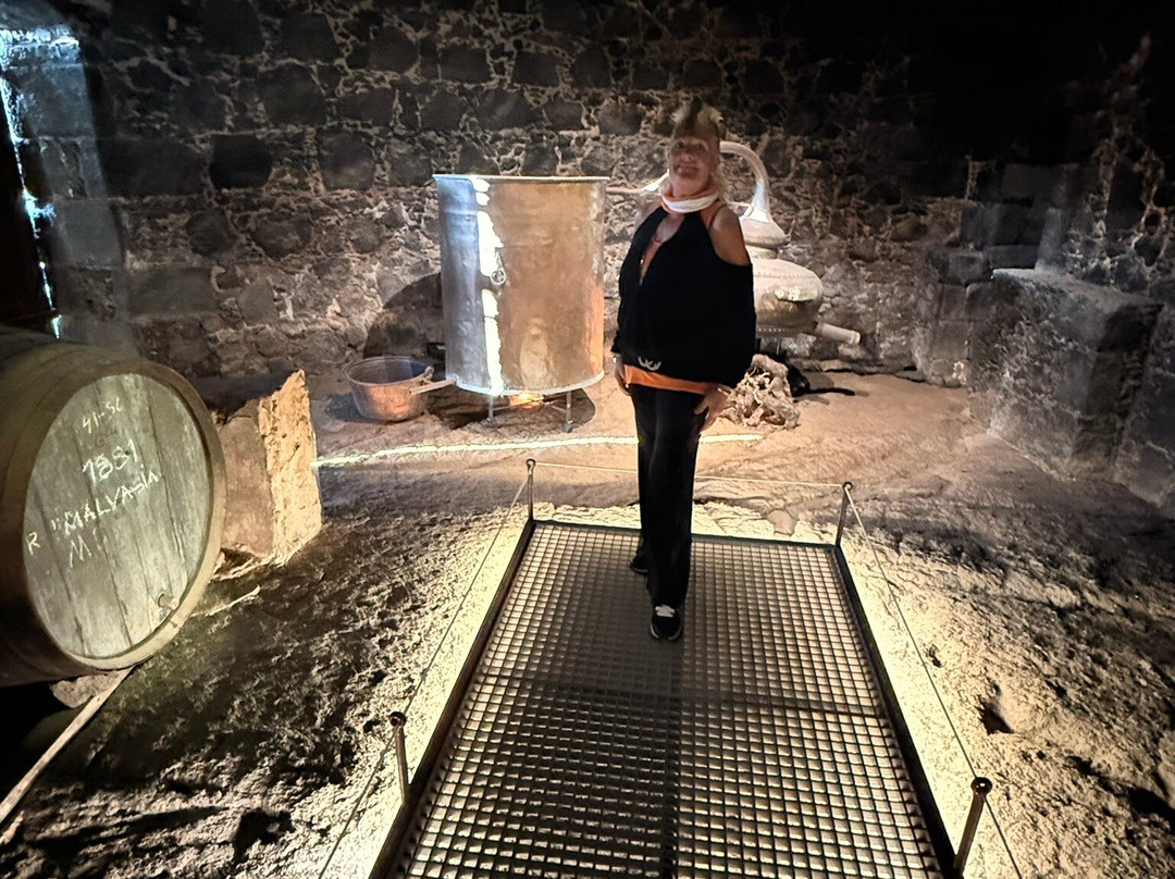 Wine Tours Lanzarote-卡门港必去景点