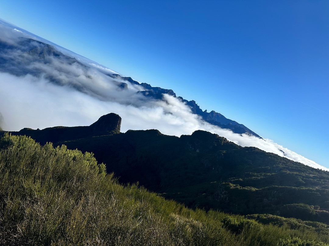 Madeira Surreal-沙尔必去景点