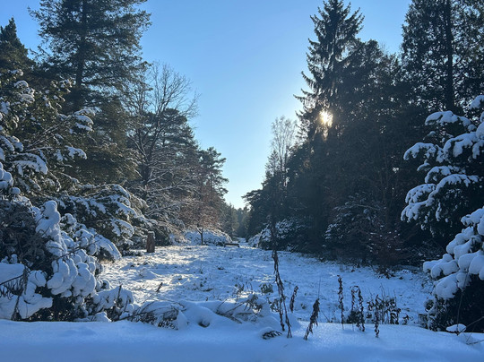 Suedwestkirchhof Stahnsdorf-Stahnsdorf必去景点