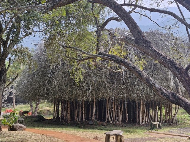 丛林小屋酒店-浴室