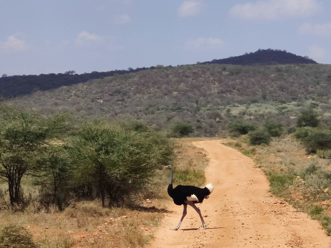 Mamasavana-马林地必去景点