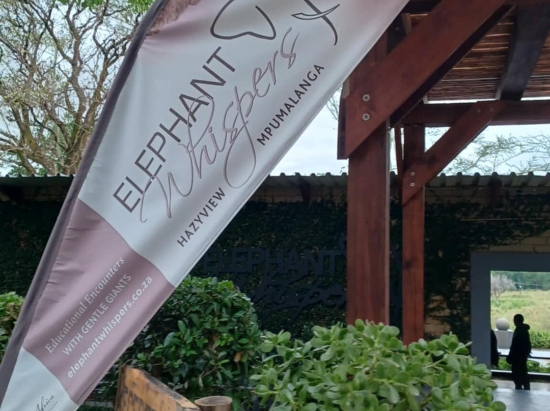 Elephant Whispers-雾观必去景点