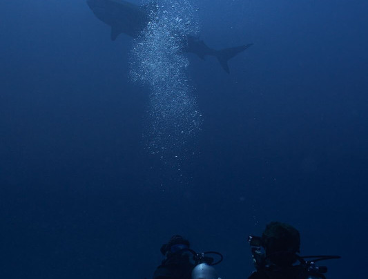 Oceanic Nomad Divers-Fuvahmulah必去景点