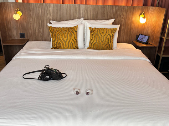 布鲁塞尔潘通酒店主图