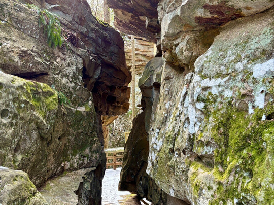 Beartown State Park-Marlinton必去景点