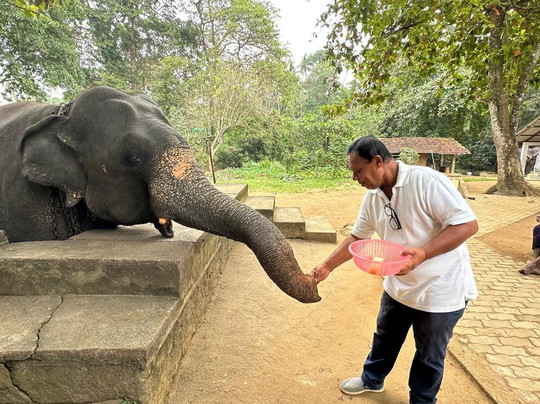 Sure Sri Lanka - Day Tours-科伦坡必去景点