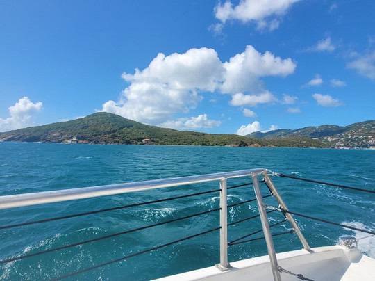 Castaway Cat-夏洛特阿马利亚必去景点