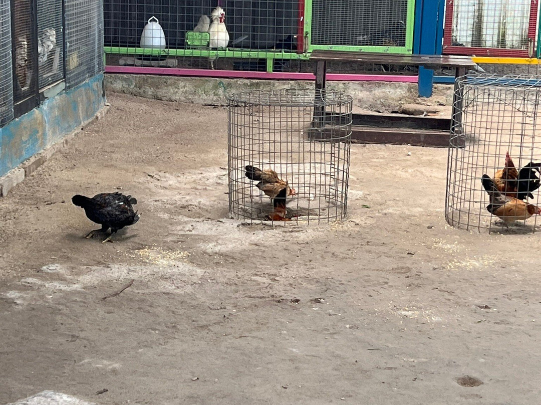 Desaru Fruit Farm-哥打丁宜必去景点