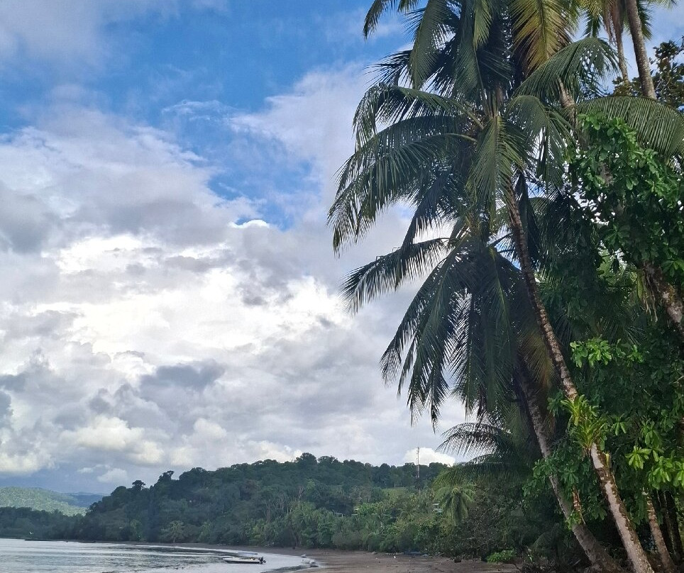 Hotel Jinetes de Osa主图