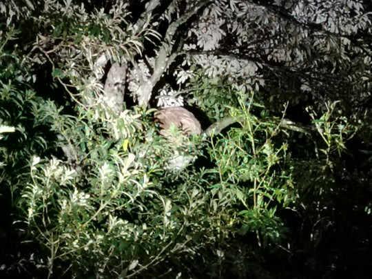 Exciting Travel Costa Rica-阿拉辉拉必去景点