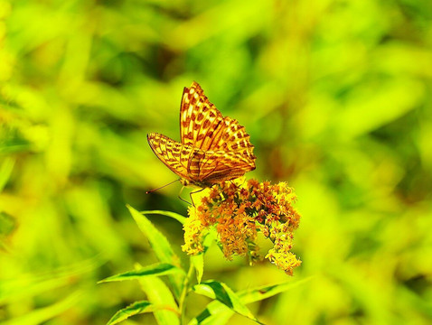 Shuparo Lake-夕张市必去景点