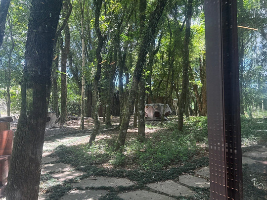 Lidio Carraro Vinícola Boutique-本图贡萨尔维斯必去景点