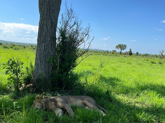 NICE ADVENTURE SAFARI-Dar es Salaam必去景点
