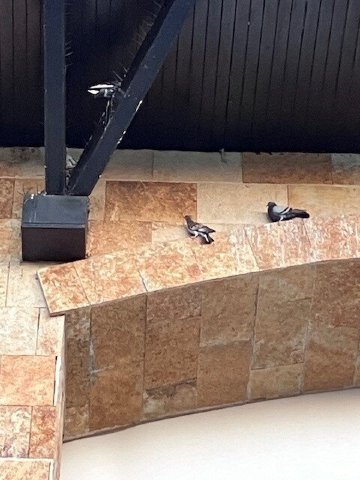 卡达雷斯索菲特酒店-官方