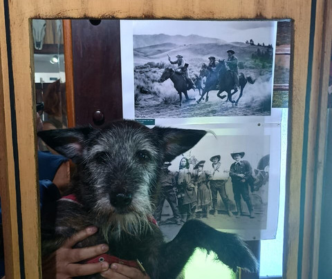 Lelumuseo Museu De Brinquedos-Penedo必去景点