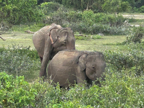 Travelplanner-Aluthgama必去景点