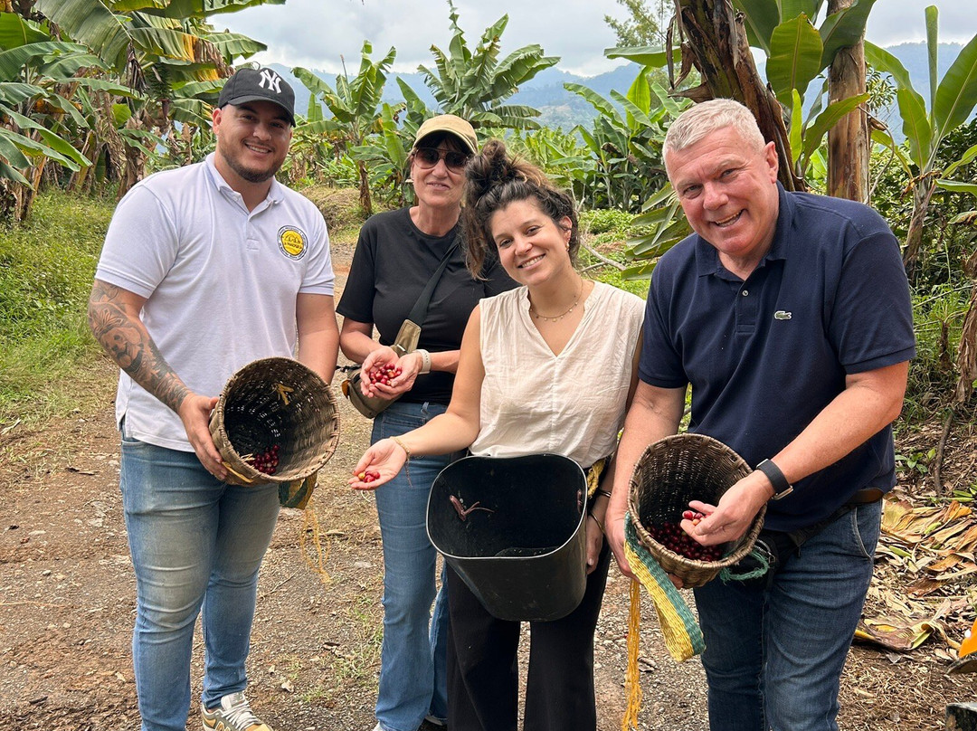 El Diamante精品农场主图