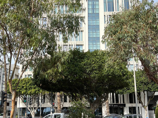 NYX Hotel Limassol by Leonardo Hotels主图