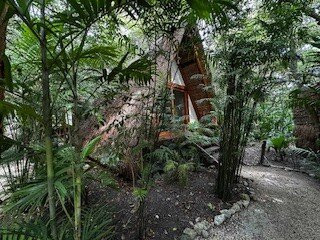 Our Habitas Bacalar主图