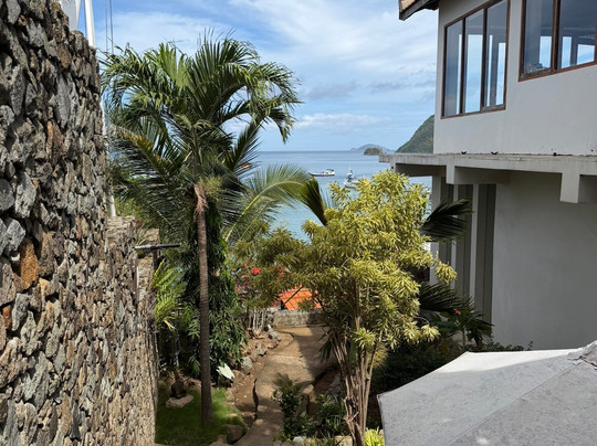 蓝鹦鹉酒店主图