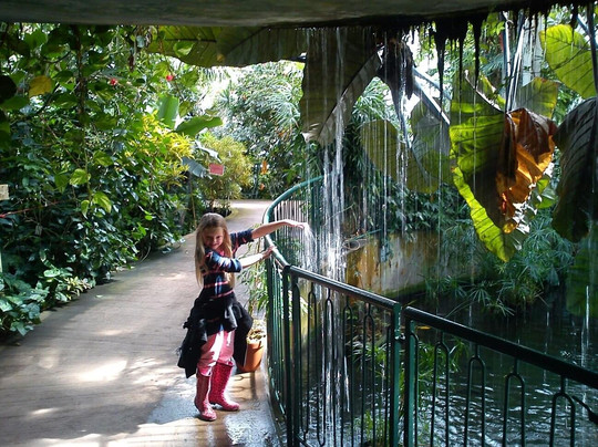 Plantasia Tropical Zoo-斯温西必去景点