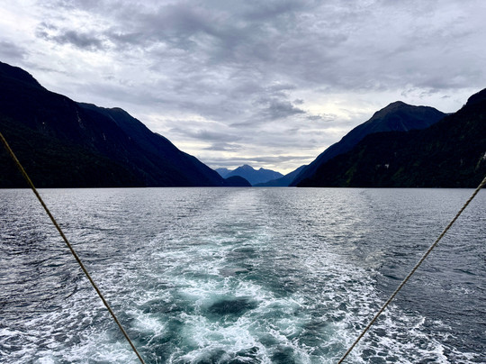Fiordland Expeditions - Doubtful Sound Overnight Cruises & Multi Day Charters-马纳普里必去景点