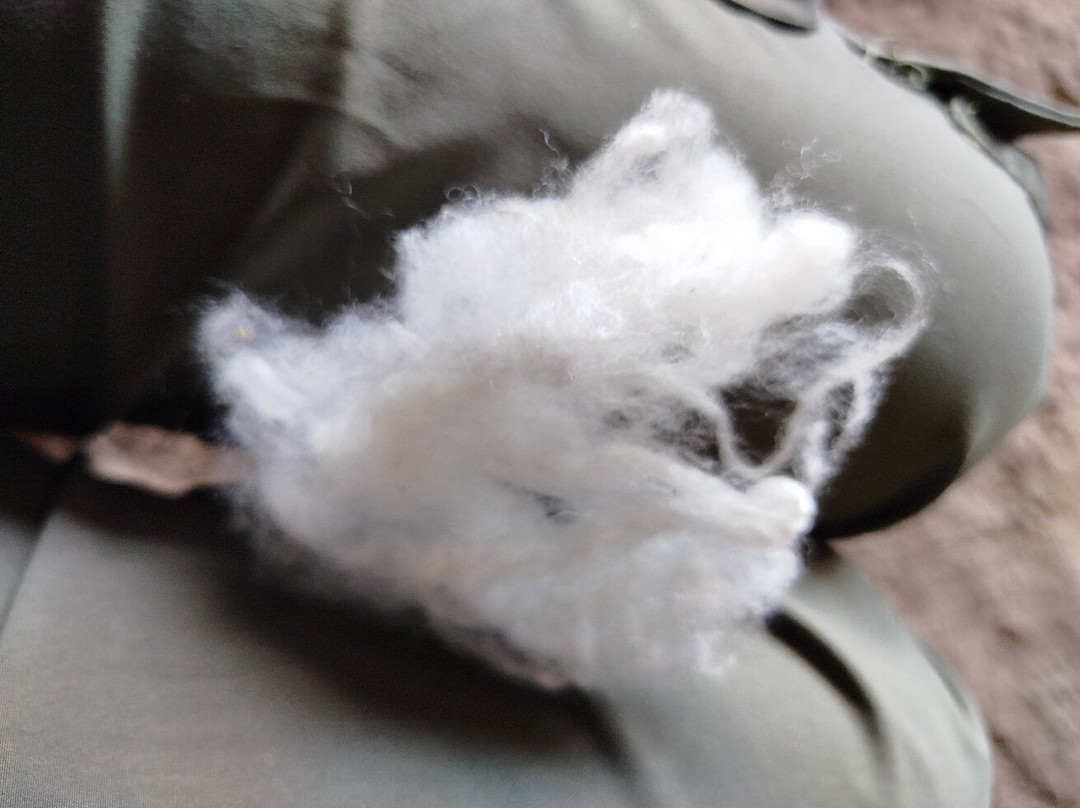 Saraurku-Saraguro必去景点