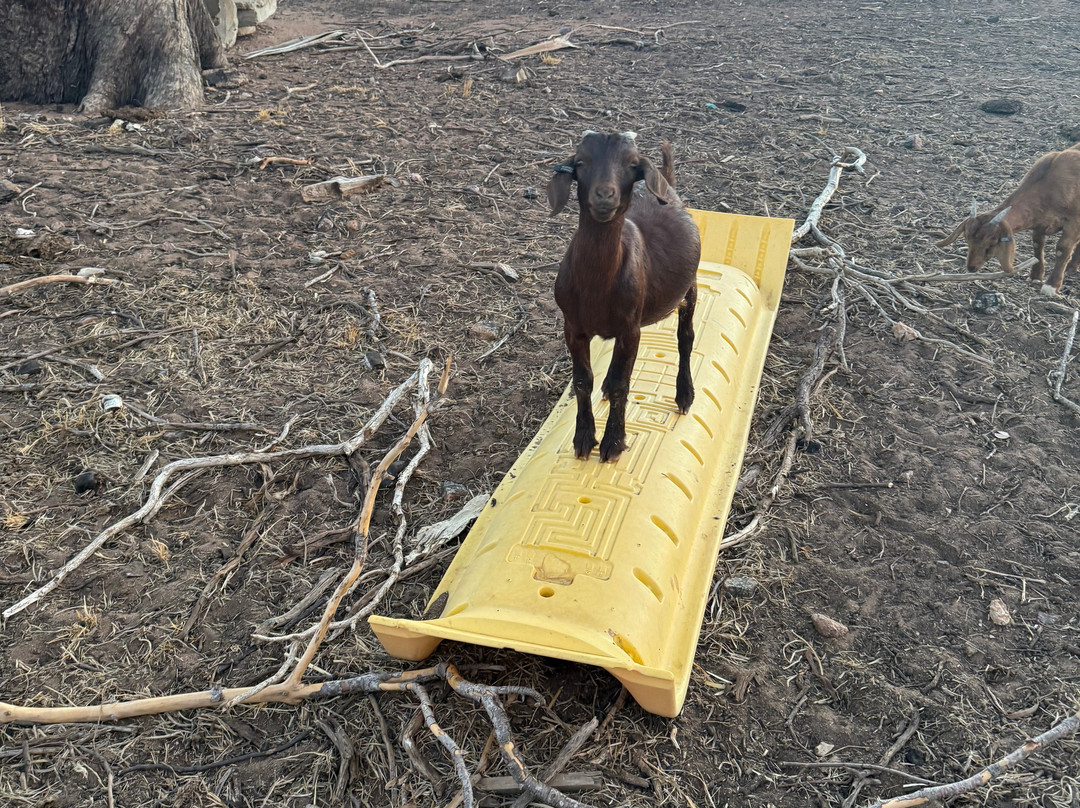 Hillview Farmstay主图