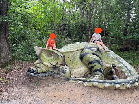 密西西比州自然科学博物馆-杰克逊必去景点