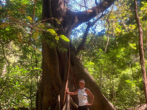 Liberia Transfers & Tours-利比里亚必去景点