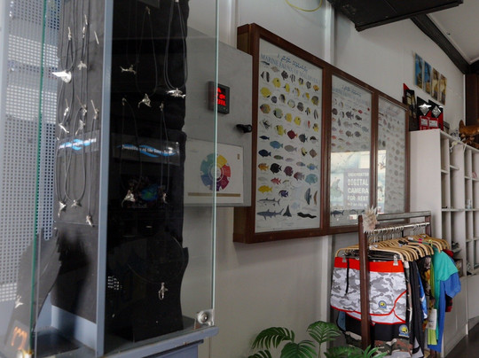 DivePoint Rannalhi-绚丽岛必去景点