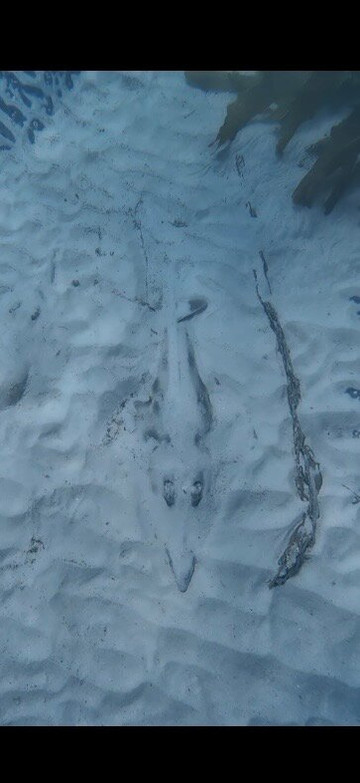 Woebegone Freedive-赫斯基森必去景点