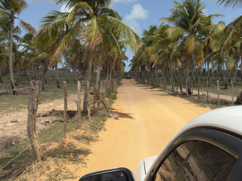 Desbravando Natal-Natal必去景点