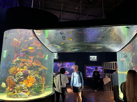 Daytona Aquarium & Rainforest Adventure-代托纳比奇必去景点