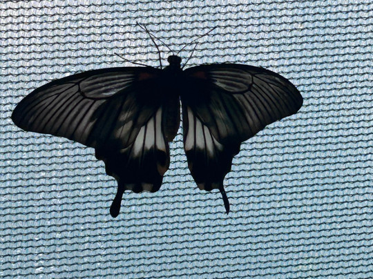 The Bug Parc-Lenwade必去景点