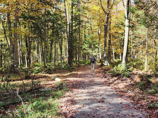 King's Path-魁北克市必去景点