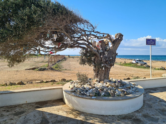 Saint Nicholas Church-Geroskipou必去景点