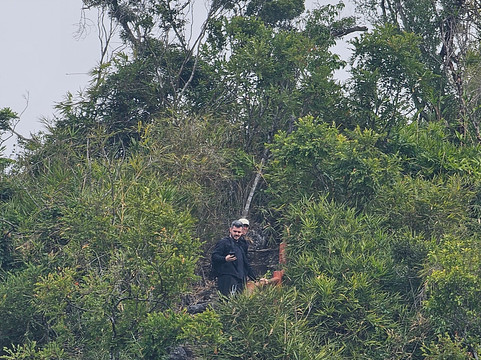 Aroma Viet Nam Travel-Cat Ba Town必去景点