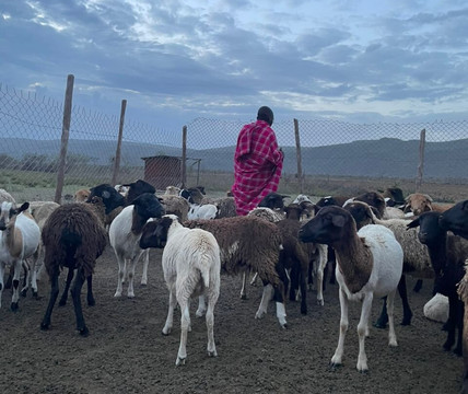 Mount Suswa Conservancy-内罗毕必去景点
