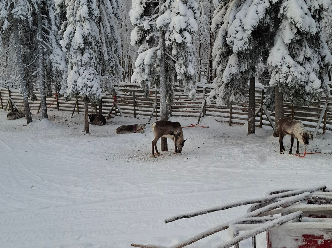 Nordic Unique Travels-罗瓦涅米必去景点