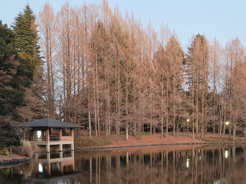 Tochigi Prefectural Museum-宇都宫市必去景点