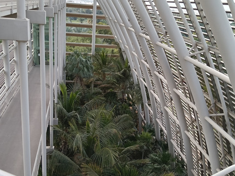 穆什里夫中央公园-阿布扎比必去景点