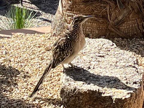 Town of Carefree Sundial-凯尔福利必去景点
