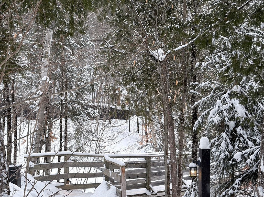 Scandinave Spa Mont-Tremblant-塔伯拉山必去景点