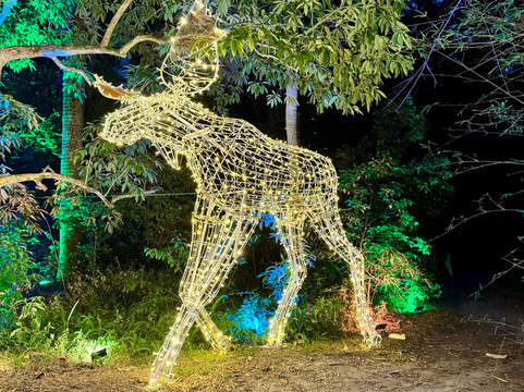 McKee Botanical Garden-维罗海滩必去景点