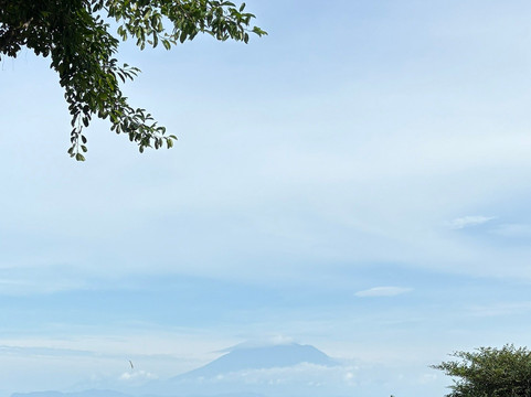 Deep Roots Dive & Yoga Resort主图