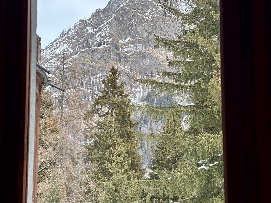 Giardino Botanico Di Castel Savoia-Gressoney Saint Jean必去景点