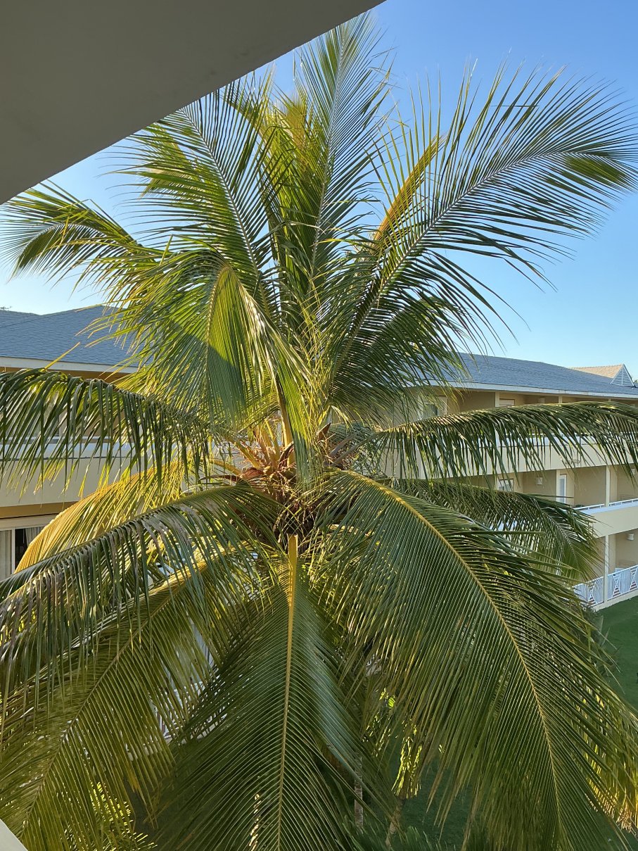 大巴伊亚王子波蒂略酒店 - 全包式-浴室