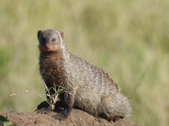 易捷旅游-一日游-阿鲁沙必去景点